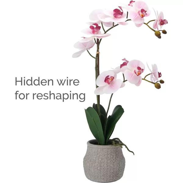 Mikasa Artificial Orchid in Pot, Real Touch Phalaenopsis Orchid, Embossed Weave Cement Pot, 22-Inch Double Branch, Watercolor Pink