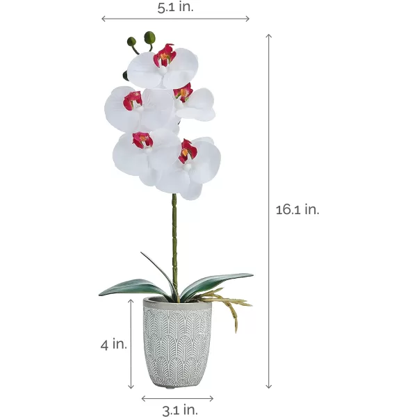 Mikasa Artificial Orchid in Pot, Real Touch Phalaenopsis Orchid, Embossed Weave Cement Pot, 22-Inch Double Branch, Watercolor Pink