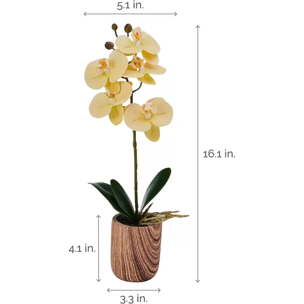 Mikasa Artificial Orchid in Pot, Real Touch Phalaenopsis Orchid, Embossed Weave Cement Pot, 22-Inch Double Branch, Watercolor Pink