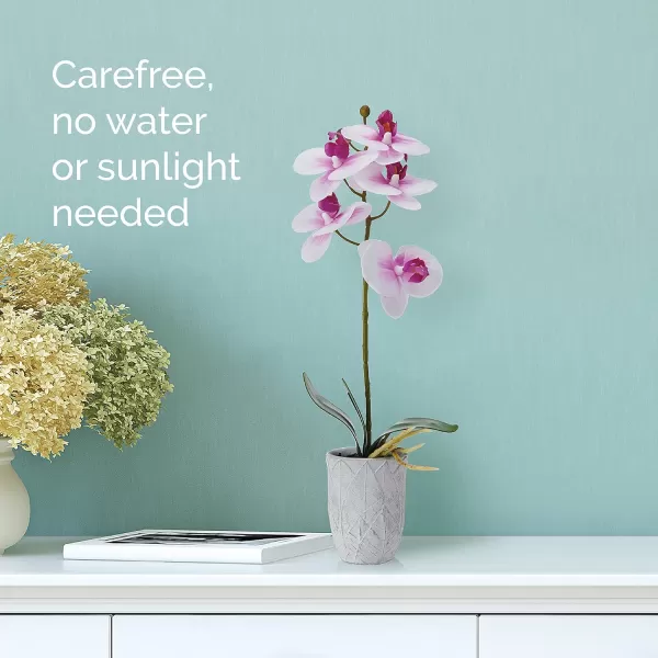 Mikasa Artificial Orchid in Pot, Real Touch Phalaenopsis Orchid, Embossed Weave Cement Pot, 22-Inch Double Branch, Watercolor Pink