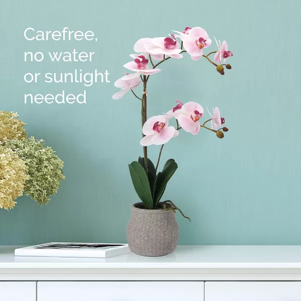 Mikasa Artificial Orchid in Pot, Real Touch Phalaenopsis Orchid, Embossed Weave Cement Pot, 22-Inch Double Branch, Watercolor Pink