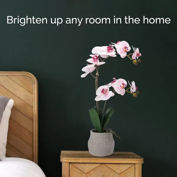 Mikasa Artificial Orchid in Pot, Real Touch Phalaenopsis Orchid, Embossed Weave Cement Pot, 22-Inch Double Branch, Watercolor Pink