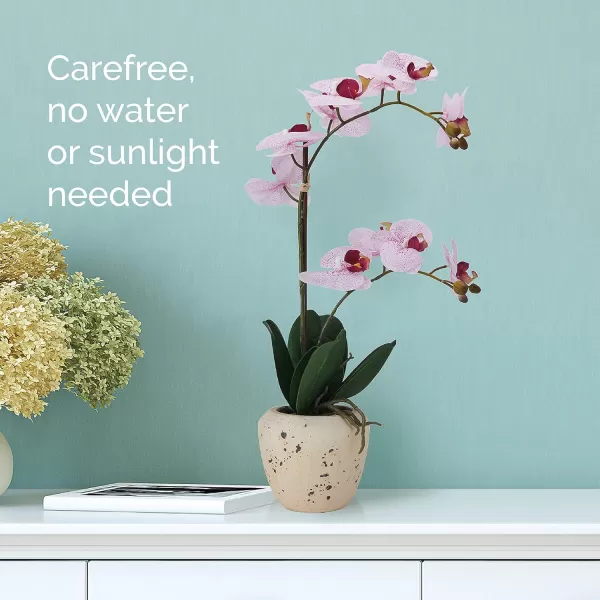 Mikasa Artificial Orchid in Pot, Real Touch Phalaenopsis Orchid, Embossed Weave Cement Pot, 22-Inch Double Branch, Watercolor Pink