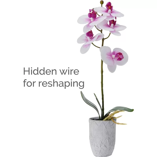 Mikasa Artificial Orchid in Pot, Real Touch Phalaenopsis Orchid, Embossed Weave Cement Pot, 22-Inch Double Branch, Watercolor Pink