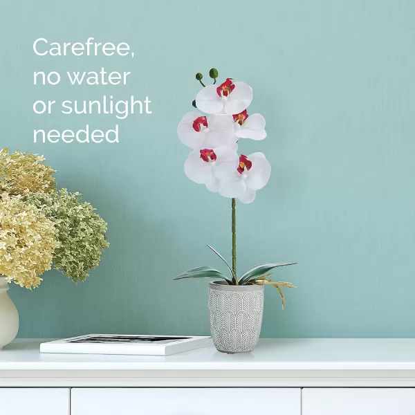 Mikasa Artificial Orchid in Pot, Real Touch Phalaenopsis Orchid, Embossed Weave Cement Pot, 22-Inch Double Branch, Watercolor Pink