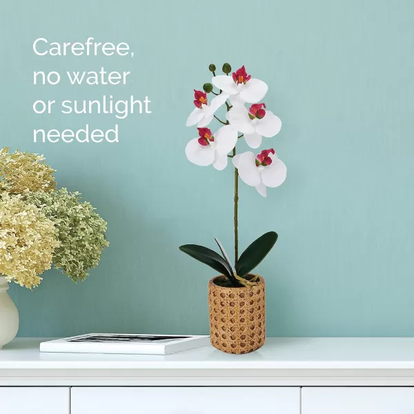 Mikasa Artificial Orchid in Pot, Real Touch Phalaenopsis Orchid, Embossed Weave Cement Pot, 22-Inch Double Branch, Watercolor Pink