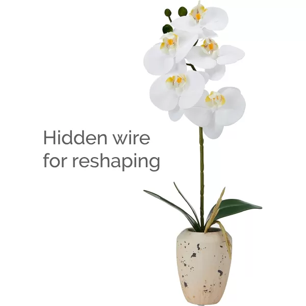 Mikasa Artificial Orchid in Pot, Real Touch Phalaenopsis Orchid, Embossed Weave Cement Pot, 22-Inch Double Branch, Watercolor Pink