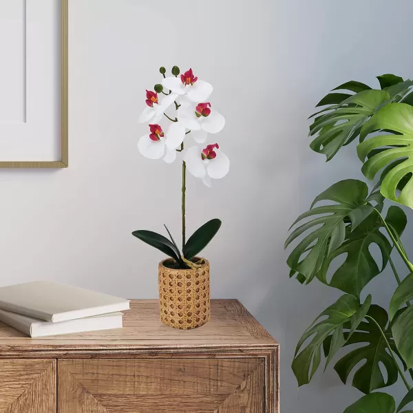 Mikasa Artificial Orchid in Pot, Real Touch Phalaenopsis Orchid, Embossed Weave Cement Pot, 22-Inch Double Branch, Watercolor Pink