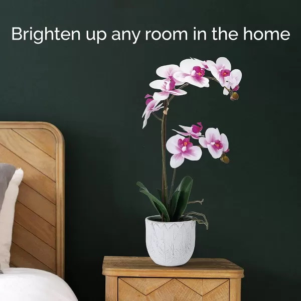 Mikasa Artificial Orchid in Pot, Real Touch Phalaenopsis Orchid, Embossed Weave Cement Pot, 22-Inch Double Branch, Watercolor Pink