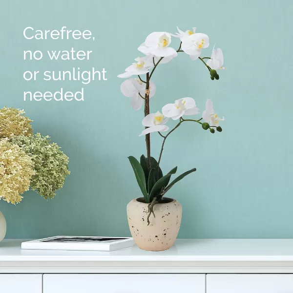 Mikasa Artificial Orchid in Pot, Real Touch Phalaenopsis Orchid, Embossed Weave Cement Pot, 22-Inch Double Branch, Watercolor Pink
