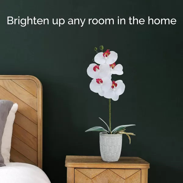 Mikasa Artificial Orchid in Pot, Real Touch Phalaenopsis Orchid, Embossed Weave Cement Pot, 22-Inch Double Branch, Watercolor Pink