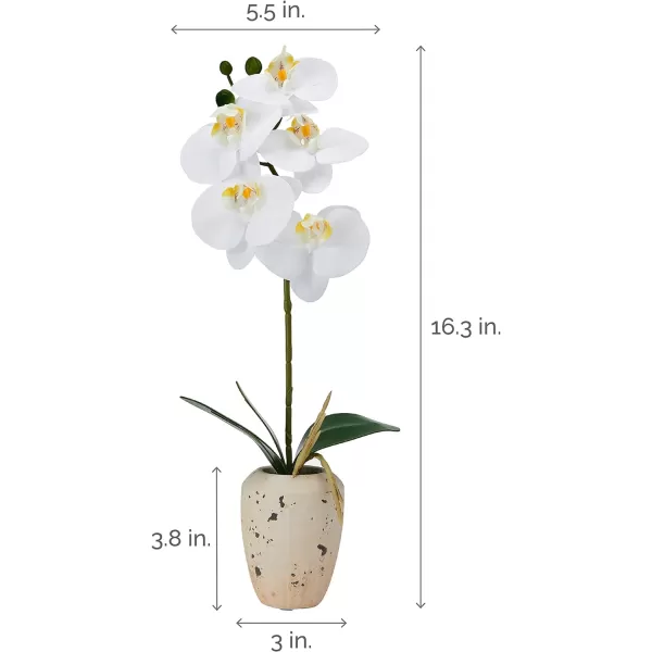 Mikasa Artificial Orchid in Pot, Real Touch Phalaenopsis Orchid, Embossed Weave Cement Pot, 22-Inch Double Branch, Watercolor Pink