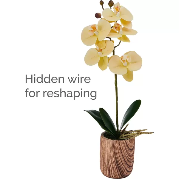 Mikasa Artificial Orchid in Pot, Real Touch Phalaenopsis Orchid, Embossed Weave Cement Pot, 22-Inch Double Branch, Watercolor Pink