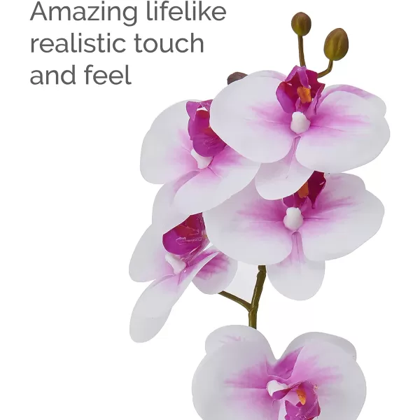 Mikasa Artificial Orchid in Pot, Real Touch Phalaenopsis Orchid, Embossed Weave Cement Pot, 22-Inch Double Branch, Watercolor Pink