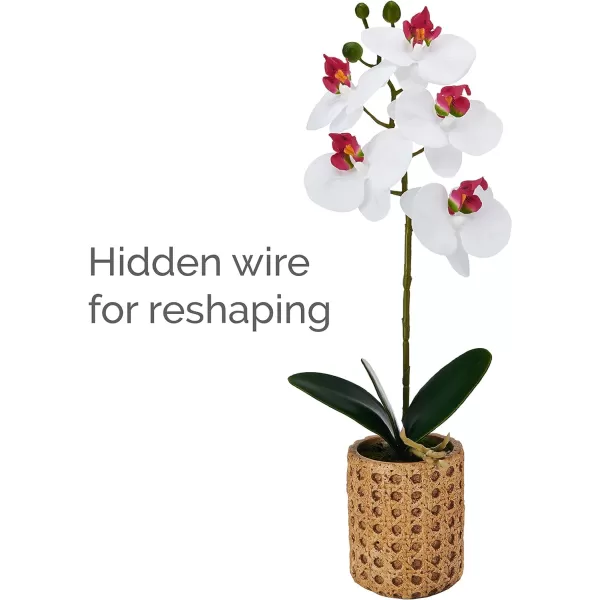 Mikasa Artificial Orchid in Pot, Real Touch Phalaenopsis Orchid, Embossed Weave Cement Pot, 22-Inch Double Branch, Watercolor Pink