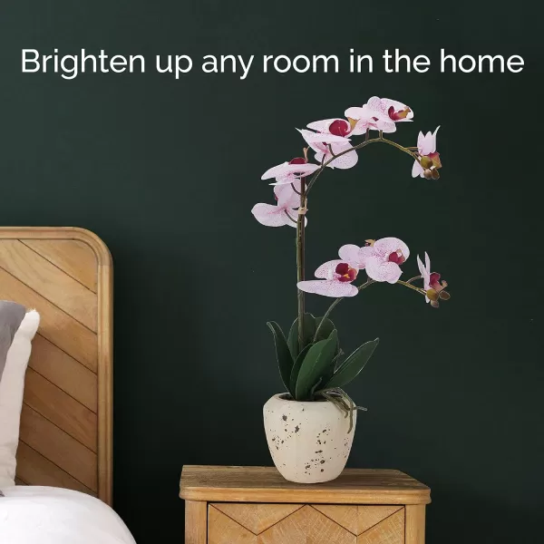 Mikasa Artificial Orchid in Pot, Real Touch Phalaenopsis Orchid, Embossed Weave Cement Pot, 22-Inch Double Branch, Watercolor Pink