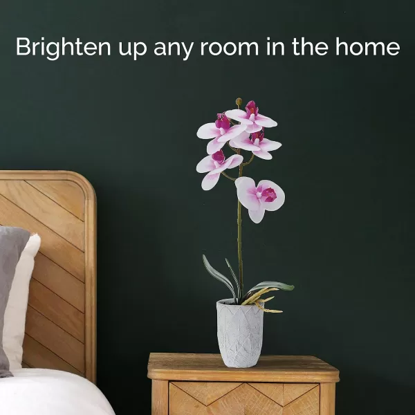 Mikasa Artificial Orchid in Pot, Real Touch Phalaenopsis Orchid, Embossed Weave Cement Pot, 22-Inch Double Branch, Watercolor Pink
