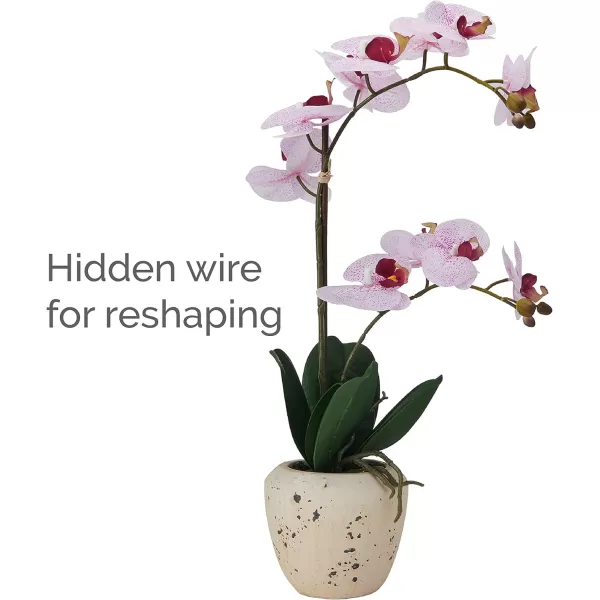 Mikasa Artificial Orchid in Pot, Real Touch Phalaenopsis Orchid, Embossed Weave Cement Pot, 22-Inch Double Branch, Watercolor Pink