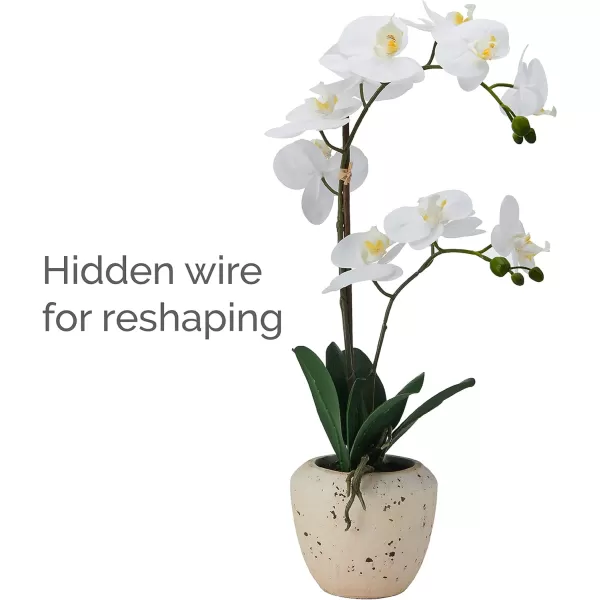 Mikasa Artificial Orchid in Pot, Real Touch Phalaenopsis Orchid, Embossed Weave Cement Pot, 22-Inch Double Branch, Watercolor Pink