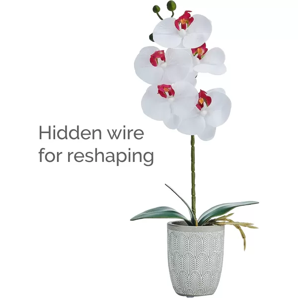 Mikasa Artificial Orchid in Pot, Real Touch Phalaenopsis Orchid, Embossed Weave Cement Pot, 22-Inch Double Branch, Watercolor Pink