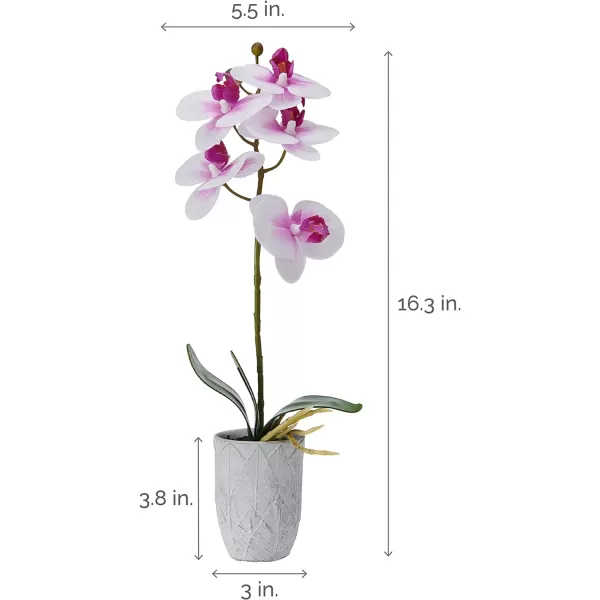 Mikasa Artificial Orchid in Pot, Real Touch Phalaenopsis Orchid, Embossed Weave Cement Pot, 22-Inch Double Branch, Watercolor Pink