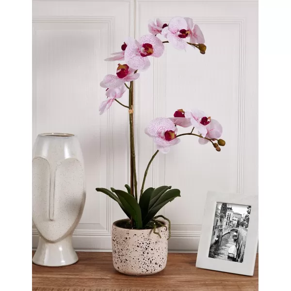 Mikasa Artificial Orchid in Pot, Real Touch Phalaenopsis Orchid, Embossed Weave Cement Pot, 22-Inch Double Branch, Watercolor Pink