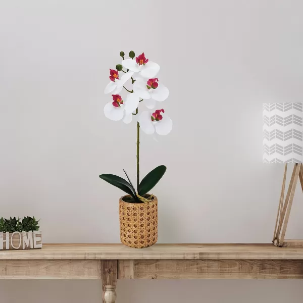 Mikasa Artificial Orchid in Pot, Real Touch Phalaenopsis Orchid, Embossed Weave Cement Pot, 22-Inch Double Branch, Watercolor Pink