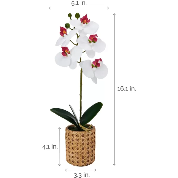 Mikasa Artificial Orchid in Pot, Real Touch Phalaenopsis Orchid, Embossed Weave Cement Pot, 22-Inch Double Branch, Watercolor Pink