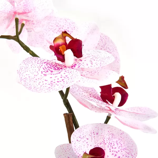 Mikasa Artificial Orchid in Pot, Real Touch Phalaenopsis Orchid, Embossed Weave Cement Pot, 22-Inch Double Branch, Watercolor Pink