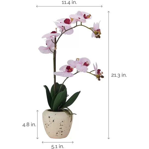 Mikasa Artificial Orchid in Pot, Real Touch Phalaenopsis Orchid, Embossed Weave Cement Pot, 22-Inch Double Branch, Watercolor Pink