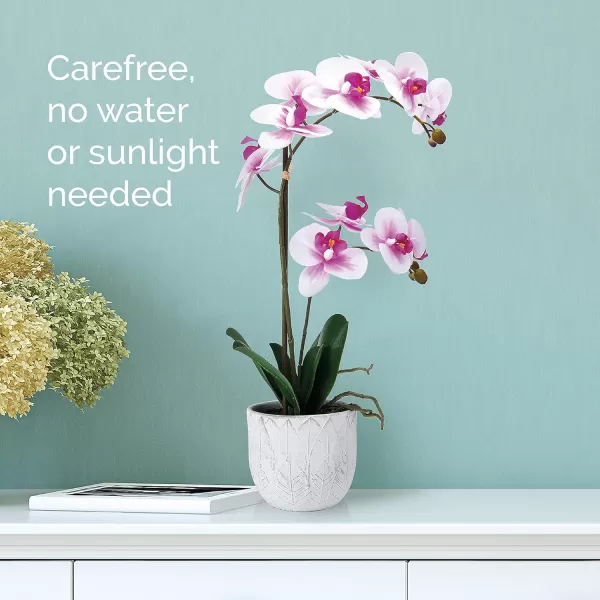 Mikasa Artificial Orchid in Pot, Real Touch Phalaenopsis Orchid, Embossed Weave Cement Pot, 22-Inch Double Branch, Watercolor Pink