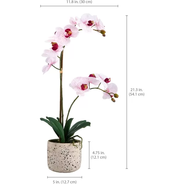 Mikasa Artificial Orchid in Pot, Real Touch Phalaenopsis Orchid, Embossed Weave Cement Pot, 22-Inch Double Branch, Watercolor Pink