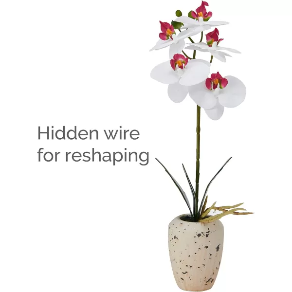 Mikasa Artificial Orchid in Pot, Real Touch Phalaenopsis Orchid, Faux Aged Cement Pot, 22-Inch Double Branch, White/Pink