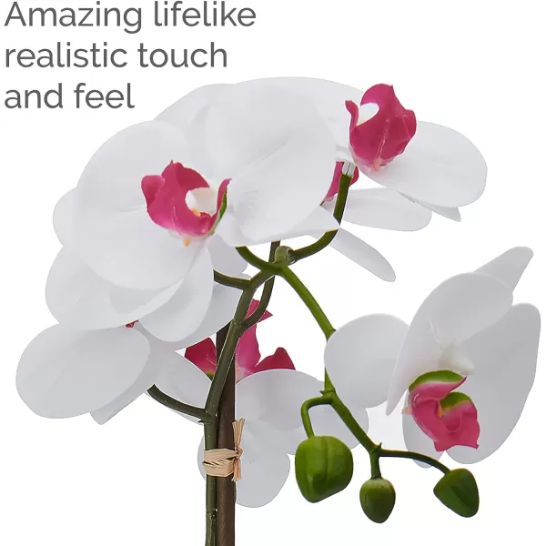 Mikasa Artificial Orchid in Pot, Real Touch Phalaenopsis Orchid, Faux Aged Cement Pot, 22-Inch Double Branch, White/Pink
