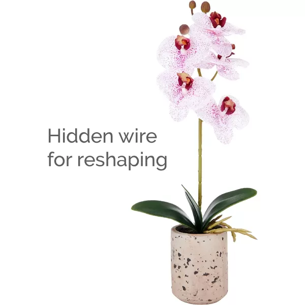 Mikasa Artificial Orchid in Pot, Real Touch Phalaenopsis Orchid, Faux Aged Cement Pot, 22-Inch Double Branch, White/Pink