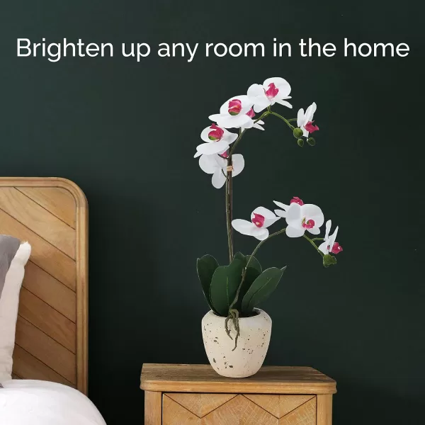 Mikasa Artificial Orchid in Pot, Real Touch Phalaenopsis Orchid, Faux Aged Cement Pot, 22-Inch Double Branch, White/Pink