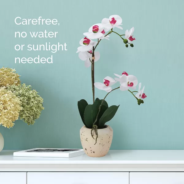 Mikasa Artificial Orchid in Pot, Real Touch Phalaenopsis Orchid, Faux Aged Cement Pot, 22-Inch Double Branch, White/Pink