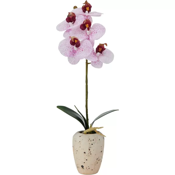 Mikasa Artificial Orchid in Pot, Real Touch Phalaenopsis Orchid, Faux Aged Cement Pot, 22-Inch Double Branch, White/Pink