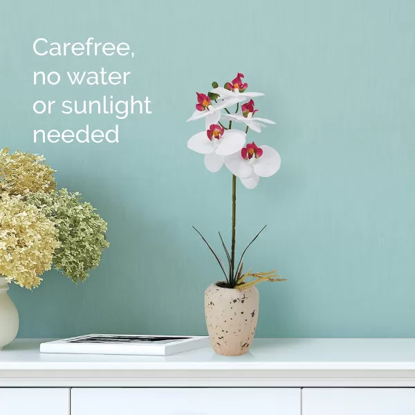 Mikasa Artificial Orchid in Pot, Real Touch Phalaenopsis Orchid, Faux Aged Cement Pot, 22-Inch Double Branch, White/Pink
