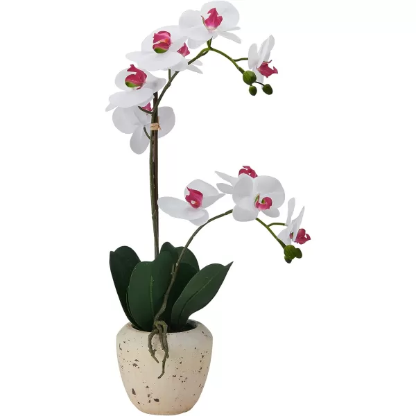 Mikasa Artificial Orchid in Pot, Real Touch Phalaenopsis Orchid, Faux Aged Cement Pot, 22-Inch Double Branch, White/Pink