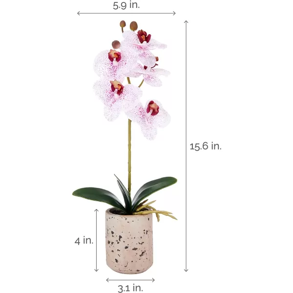 Mikasa Artificial Orchid in Pot, Real Touch Phalaenopsis Orchid, Faux Aged Cement Pot, 22-Inch Double Branch, White/Pink