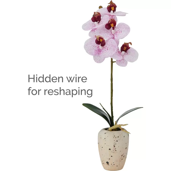 Mikasa Artificial Orchid in Pot, Real Touch Phalaenopsis Orchid, Faux Aged Cement Pot, 22-Inch Double Branch, White/Pink
