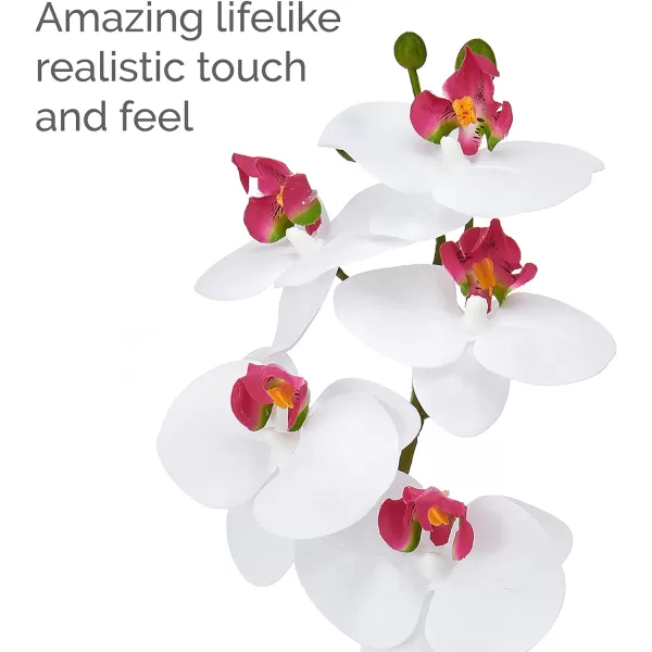 Mikasa Artificial Orchid in Pot, Real Touch Phalaenopsis Orchid, Faux Aged Cement Pot, 22-Inch Double Branch, White/Pink