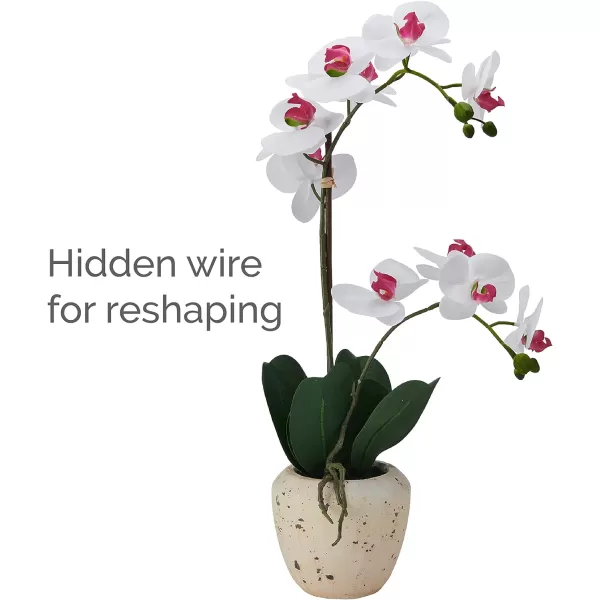 Mikasa Artificial Orchid in Pot, Real Touch Phalaenopsis Orchid, Faux Aged Cement Pot, 22-Inch Double Branch, White/Pink