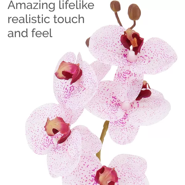 Mikasa Artificial Orchid in Pot, Real Touch Phalaenopsis Orchid, Faux Aged Cement Pot, 22-Inch Double Branch, White/Pink