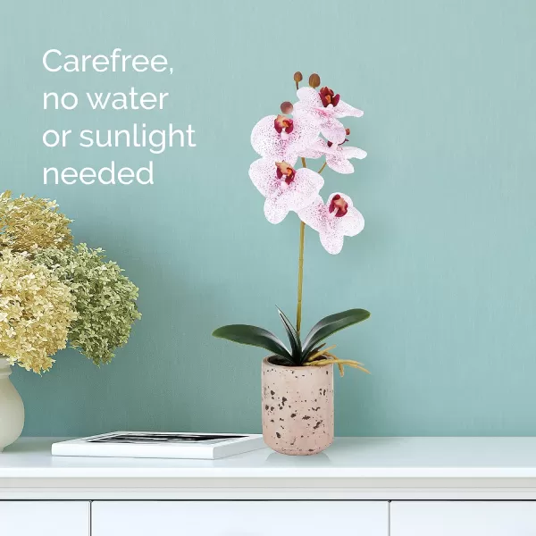 Mikasa Artificial Orchid in Pot, Real Touch Phalaenopsis Orchid, Faux Aged Cement Pot, 22-Inch Double Branch, White/Pink