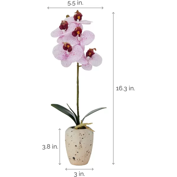 Mikasa Artificial Orchid in Pot, Real Touch Phalaenopsis Orchid, Faux Aged Cement Pot, 22-Inch Double Branch, White/Pink