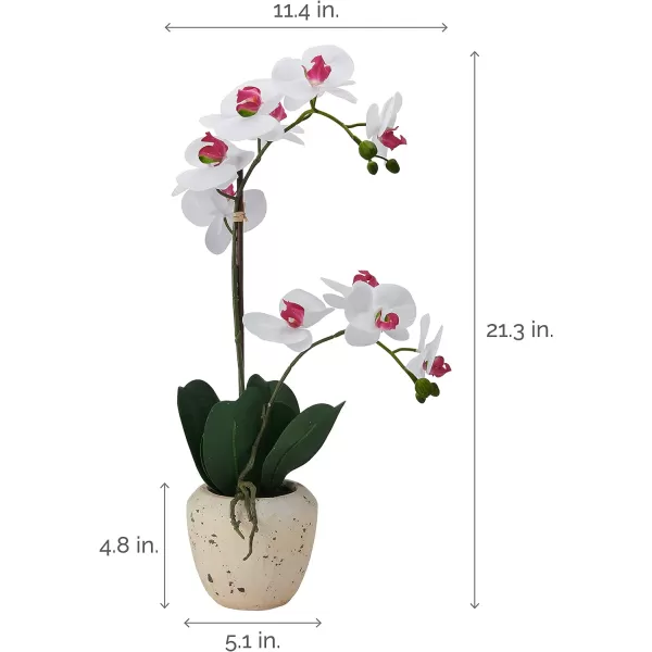 Mikasa Artificial Orchid in Pot, Real Touch Phalaenopsis Orchid, Faux Aged Cement Pot, 22-Inch Double Branch, White/Pink