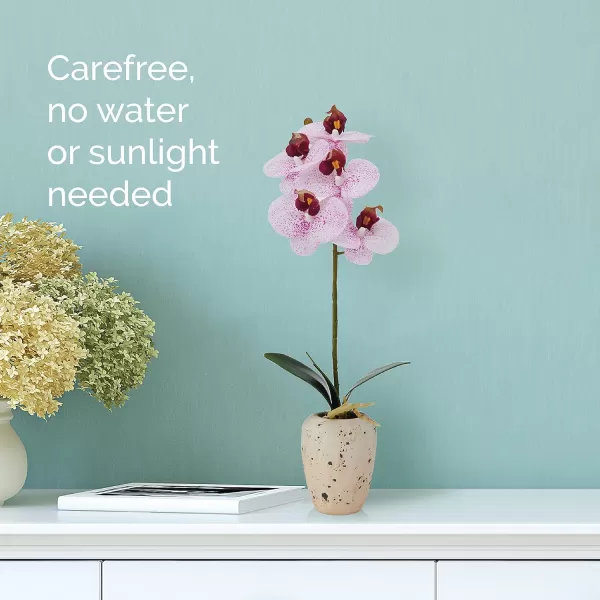 Mikasa Artificial Orchid in Pot, Real Touch Phalaenopsis Orchid, Faux Aged Cement Pot, 22-Inch Double Branch, White/Pink