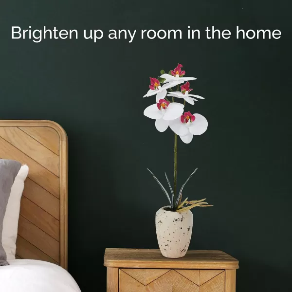 Mikasa Artificial Orchid in Pot, Real Touch Phalaenopsis Orchid, Faux Aged Cement Pot, 22-Inch Double Branch, White/Pink